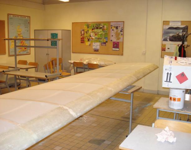 fevrier_07.jpg - Entoilage, février 2007